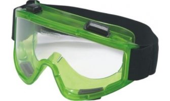 очки ЗН11 PANORAMA (PL) РОСОМЗ (21111)